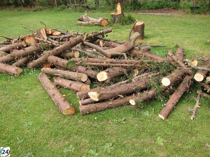 El Principado apoya el desarrollo sostenible con ayudas a entidades forestales.