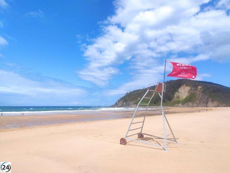 Presencia de carabela portuguesa en Rodiles obliga a cerrar la playa debido a condiciones adversas.