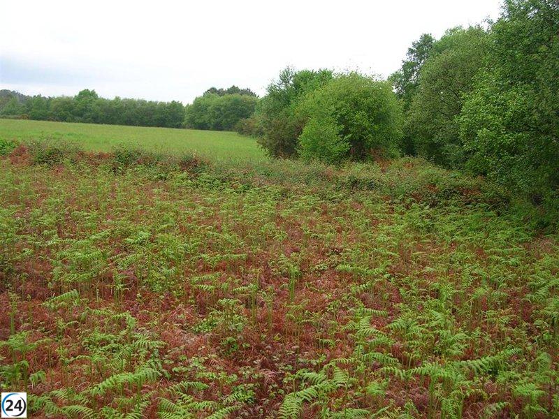 Ecologistas conservadores impiden la construcción de 1.000 hogares en Villademar (Cudillero)