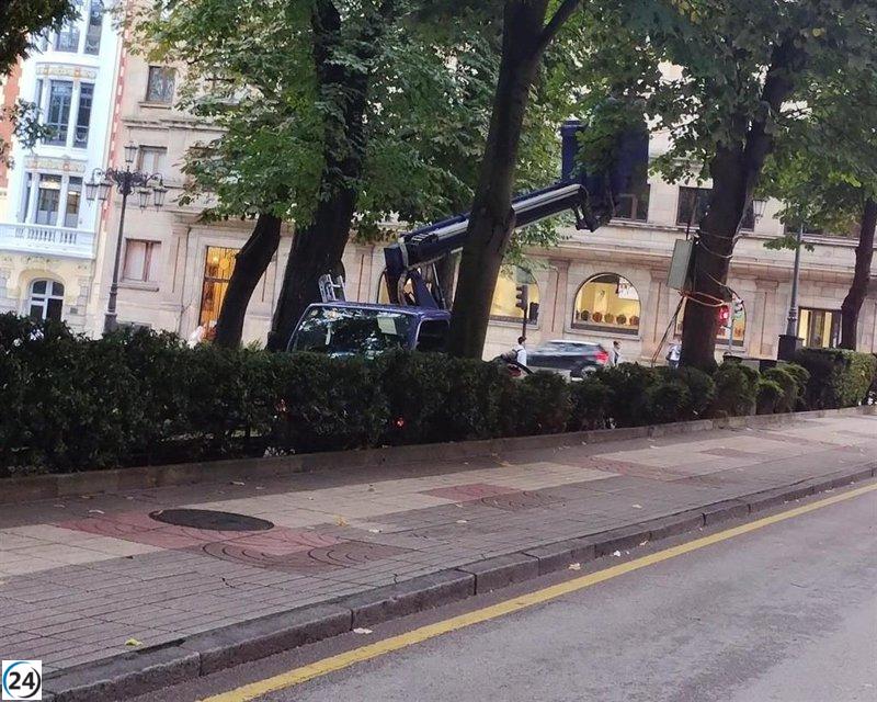 El PSOE se opone a la instalación de transformadores eléctricos en los árboles del Campo San Francisco