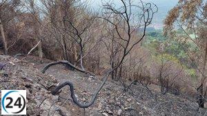 Aprobado un presupuesto de 2,6 millones para la adquisición de siete autotanques contra incendios en áreas forestales.