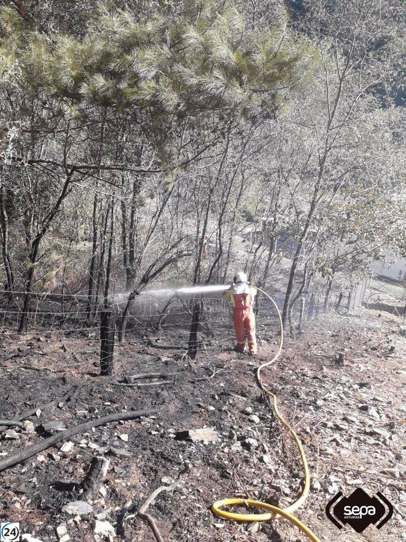 El heroico esfuerzo de los bomberos evita la expansión del incendio forestal en Cangas del Narcea