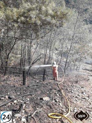 El heroico esfuerzo de los bomberos evita la expansión del incendio forestal en Cangas del Narcea