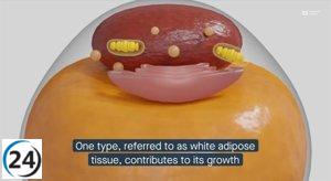Potencial beneficio de convertir grasa blanca en parda en la prevención del cáncer de próstata.