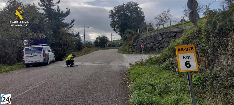 Conductor de Carreño bajo investigación por homicidio imprudente tras trágico accidente fatal