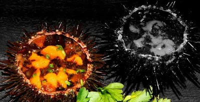 Marisco asturiano: una delicia para los sentidos