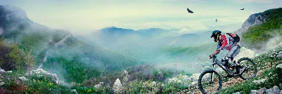 Avistamiento de ballenas y delfines en las costas asturianas