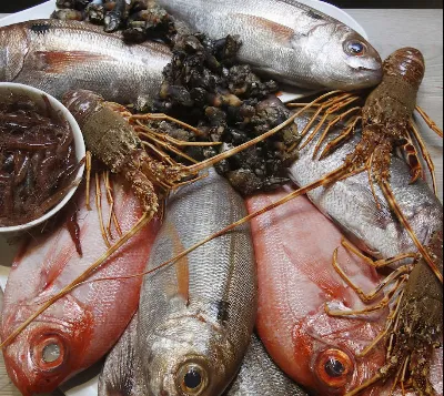 El pescado del Cantábrico en la cocina asturiana
