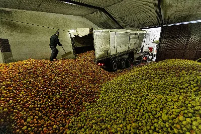 La sidra natural asturiana conquista el mundo