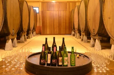 La sidra asturiana se abre paso en el mercado artesanal internacional