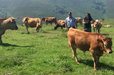 El futuro de la producción artesanal en Asturias