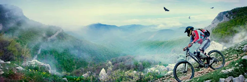 Avistamiento de ballenas y delfines en las costas asturianas