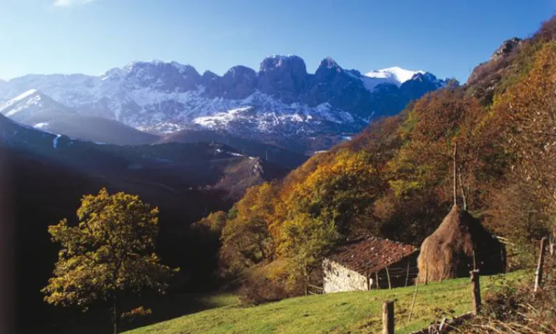 Asturias: tierra de biodiversidad y conservación